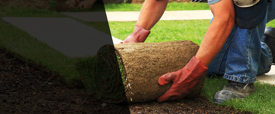 Kosciusko Landscapers